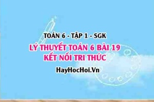 Lý Thuyết Toán 6 Bài 19: Hình chữ nhật, Hình thoi, Hình bình hành, Hình thang cân (Kết Nối Tri Thức)